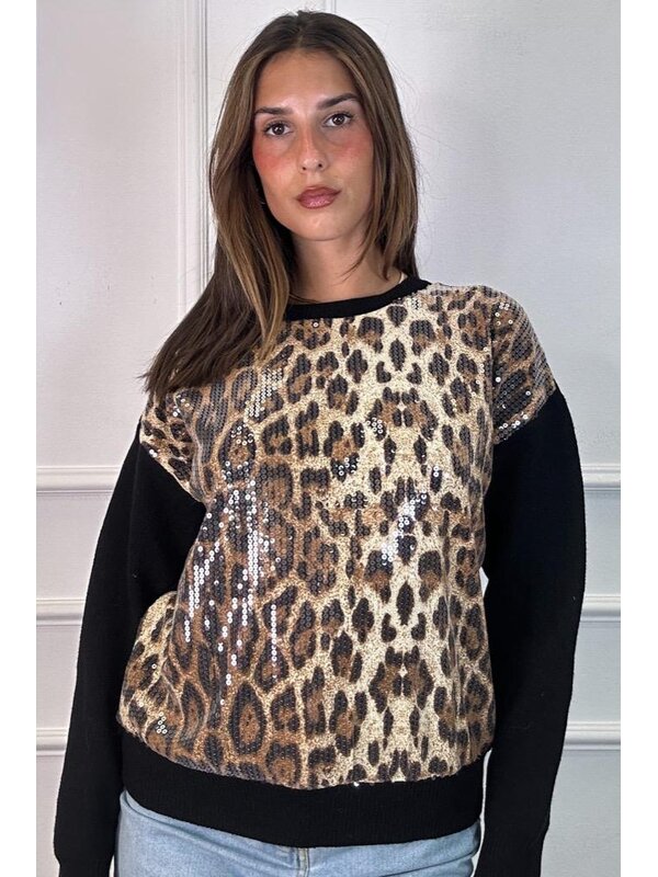 Pull leopard in camel